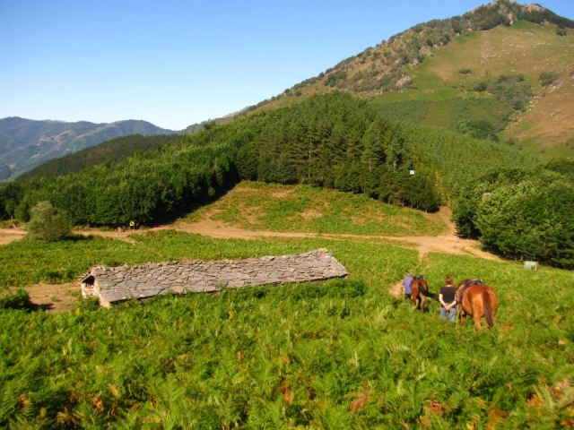 Increíbles vistas con los caballos